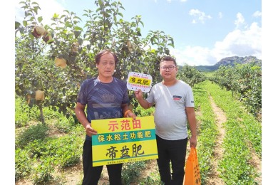 實(shí)驗(yàn)示范4